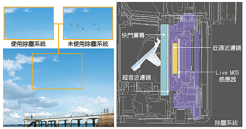 表情 #d 表情 #d