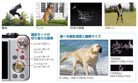 表情 #0 表情 #0