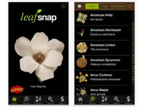 你也可以成為植物學家！可以幫你辨識植物 app「LeafSnap」