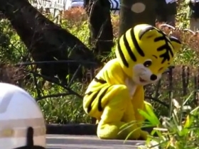 嚴肅的日本動物園演習，脫逃的卻是可愛老虎？