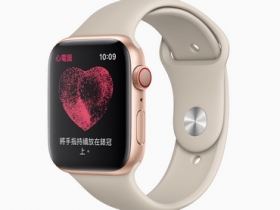 Apple Watch 心電圖功能 12/15 開放　Series 4 以上錶款適用