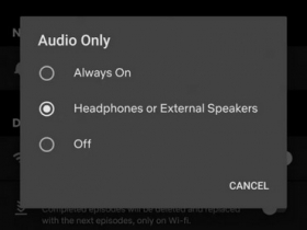 一秒變 Podcast 使用模式，Netflix 在 Android 版本新增僅以聲音播放選項