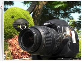 Nikon D5000 評測 #3 實戰篇 - 性能, 夜景, 感光度, 實拍表現