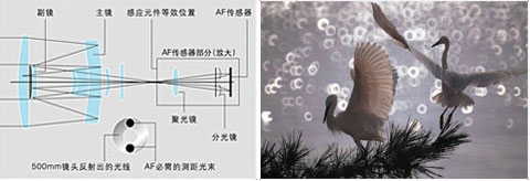 Sony 規格、價錢與介紹 - ePrice.HK 流動版-4 Sony 規格、價錢與介紹 - ePrice.HK 流動版-4