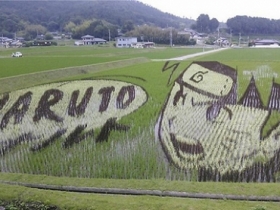 麥田圈算啥？日本青森的稻田創作才是王道