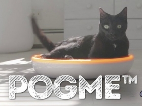 終極貓奴的貓用體重計：Pogme 貓窩、體重計二合一還能播音樂