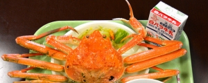 營養午餐吃螃蟹!日本學生超幸福