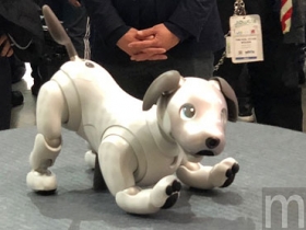 動眼看／即將在 1 月上市的 Sony 新機器狗 aibo，能否當做真正寵物？