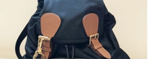 今天來跟大家分享我 Burberry The Rucksack 中型後背包，路上能見度破表呦！