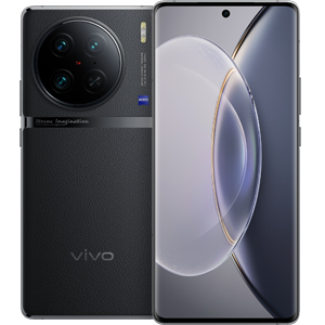 vivo X90 Pro 12GB+256GB