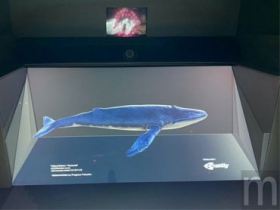 Sony 打造可應用在平面螢幕、虛擬視覺裝置的 3D 立體視覺技術