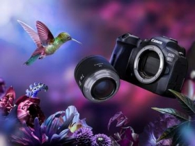 Canon 全幅無反新機 EOS R6 台灣 8/27 與全球同步開賣
