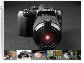 Samsung NX10 開箱實拍：「侯硐」雙鏡拍貓趣！