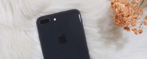 iPhone 8 Plus 初步相機體驗 （追加新照片）