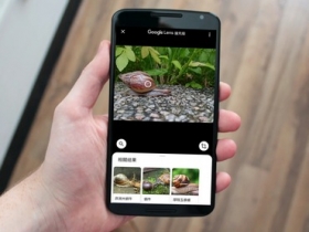 Google 相簿已經加入智慧鏡頭功能，看照片的同時按它一下就能獲得更多有用資訊