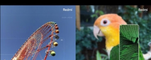紅米 Redmi Note 8 展示 25 倍變焦實拍照