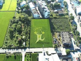 台灣三星「星關懷」稻田認養計畫邁入第五年　持續支持友善契作