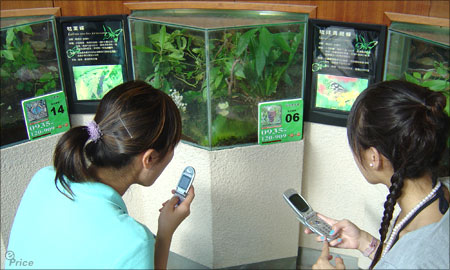 遊動物園昆蟲館　台灣大哥大一路導覽