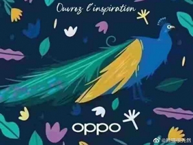 OPPO 的摺疊手機代號「Peacock」，有可能下個月就來了