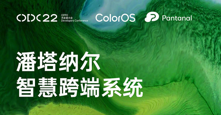 OPPO 宣布將在 8 月 30 日發表 Pantanal 系統