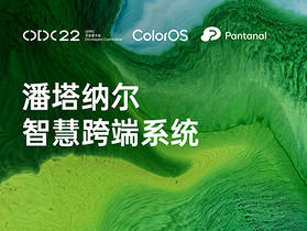 OPPO 宣布將在 8 月 30 日發表 Pantanal 系統