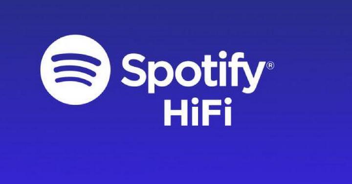 傳 Spotify Hi-Fi 快將推出   無損音質服務月費貴一倍