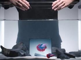 vivo 預告 X Fold 5 是首款防水、防塵、抗摔的三防摺疊機