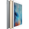 Apple iPad Pro  12 吋 (Wi-Fi, 32GB)