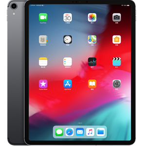 Apple iPad Pro (2018) (11 吋, 4G, 512GB)