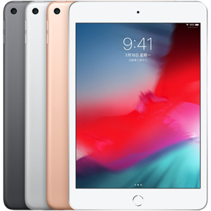 Apple iPad mini  2019 (4G, 256GB)