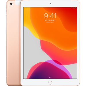 Apple iPad (2019) (4G, 32GB)